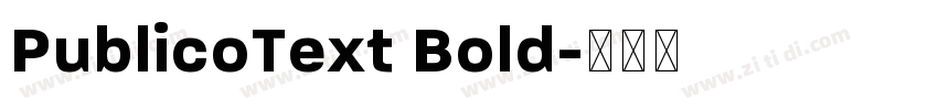 PublicoText Bold字体转换